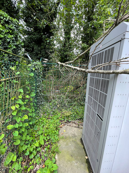 fallen tree on telecoms site